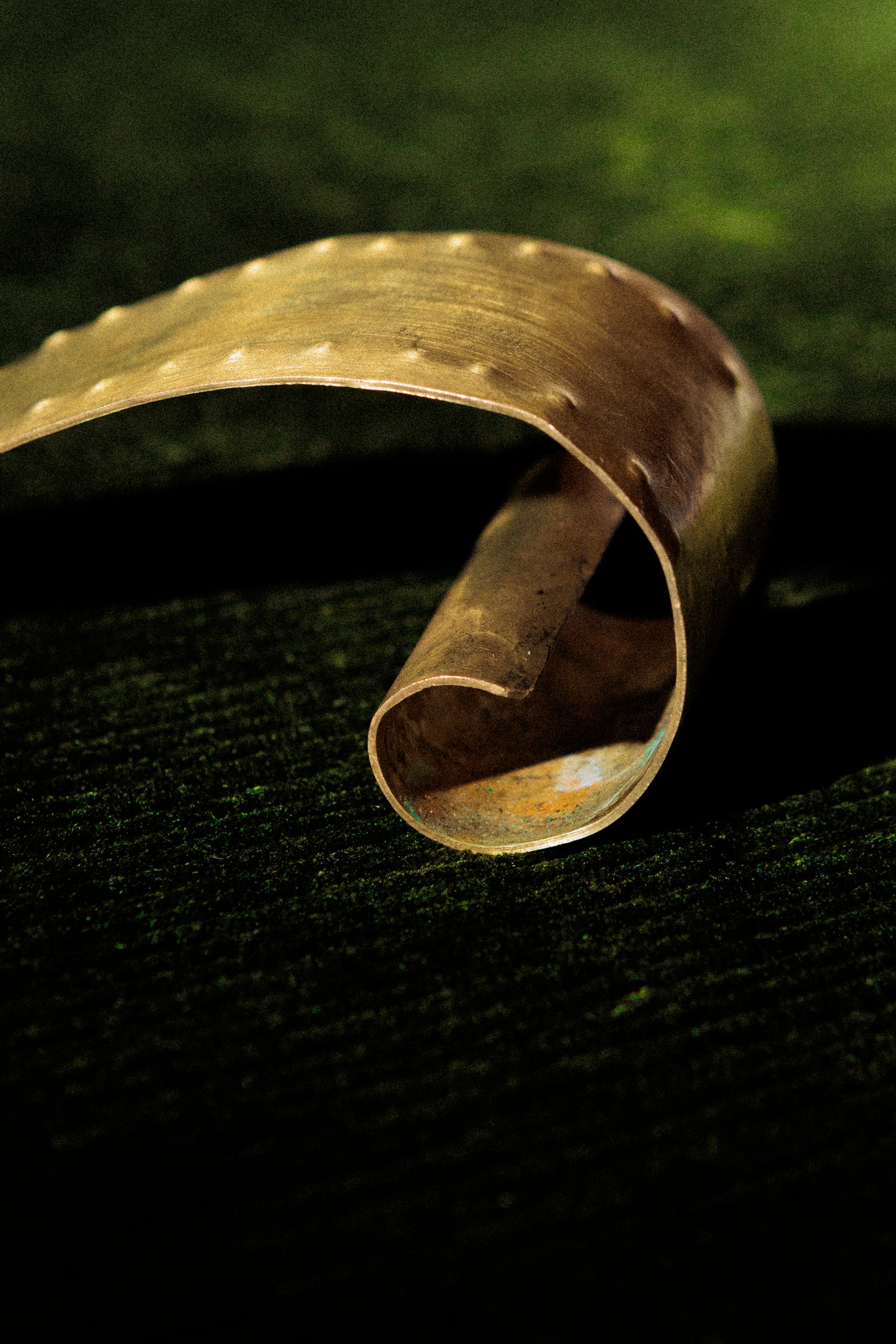 PELLE À TARTE CROCODILE