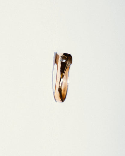 Anello "Leo"