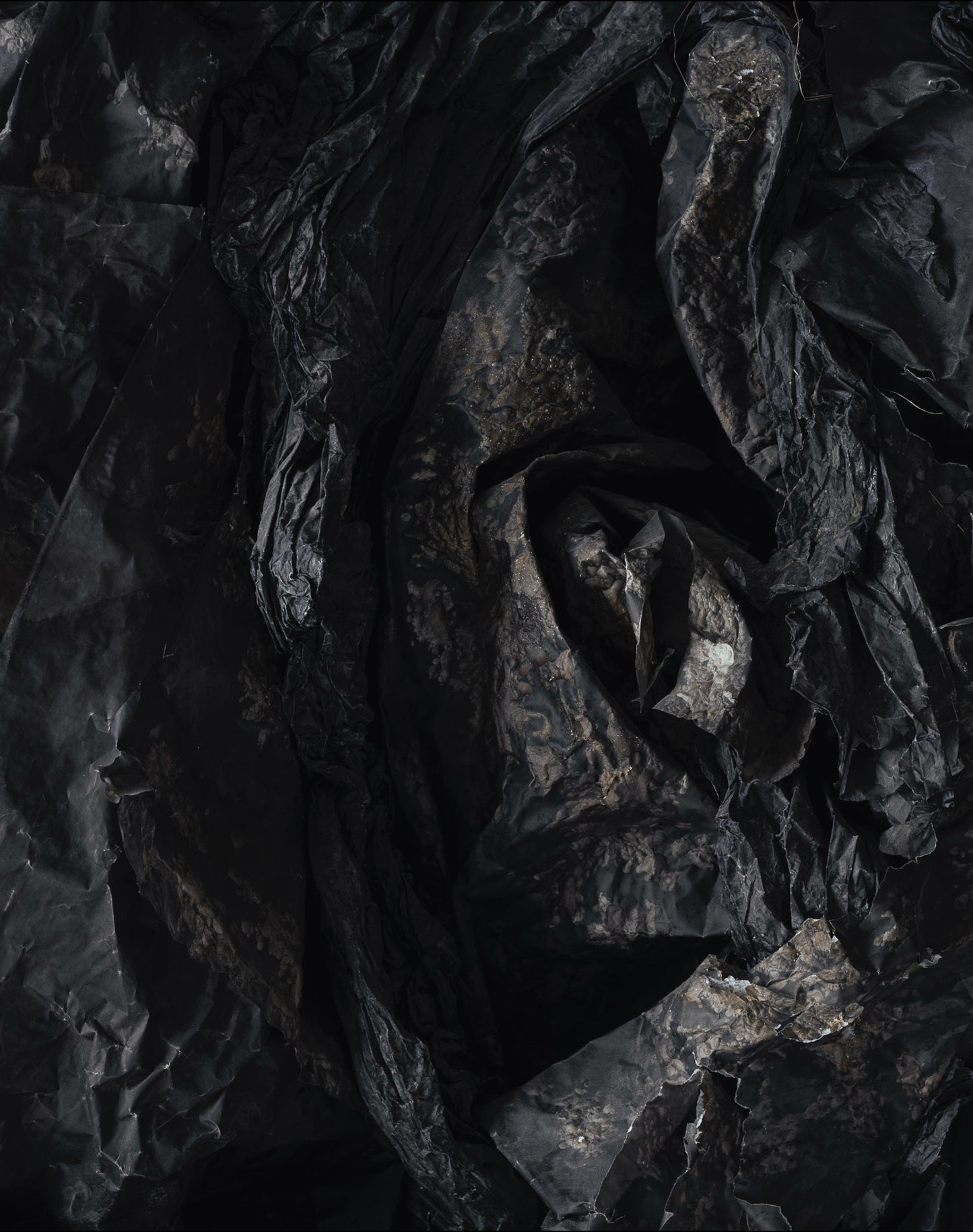 TABLEAU TEMPÊTE, KSENYA