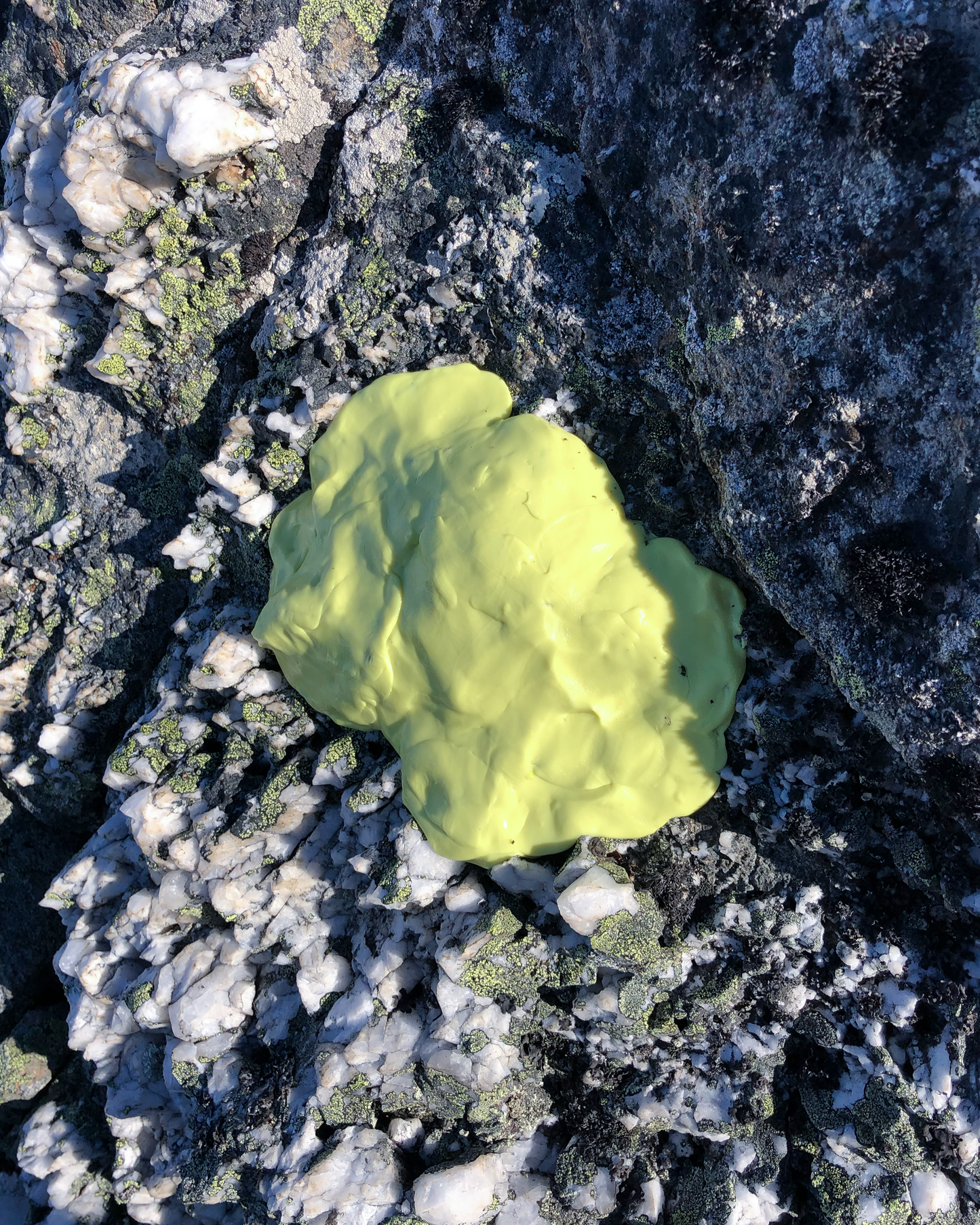 SCULPTURE MURALE "ROCASSEUS 04"