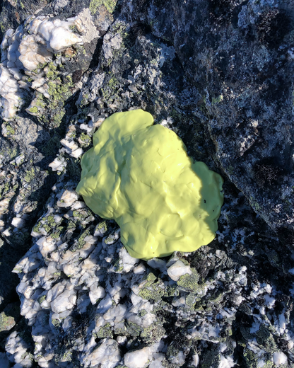 SCULPTURE MURALE "ROCASSEUS 04"