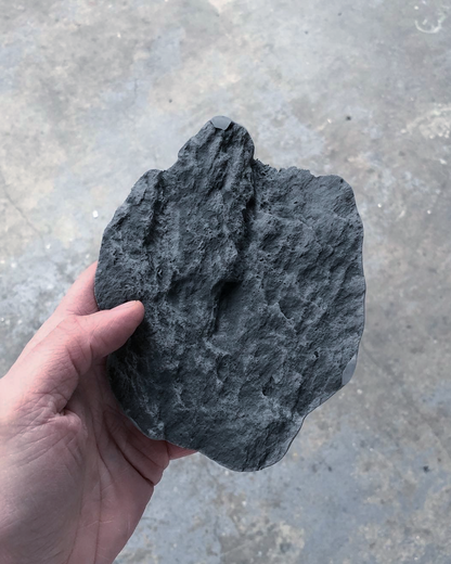 SCULPTURE MURALE "ROCASSEUS 04"