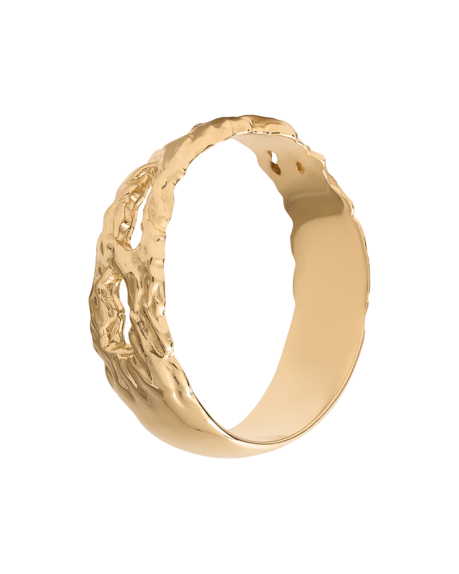 “VANISHING” RING