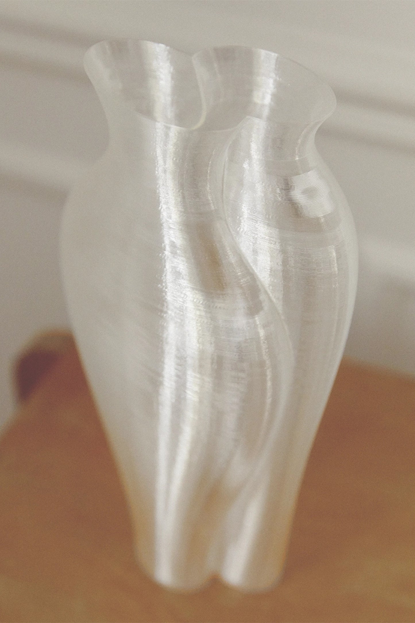 “SISTERS” VASE IN 3D PRINT 