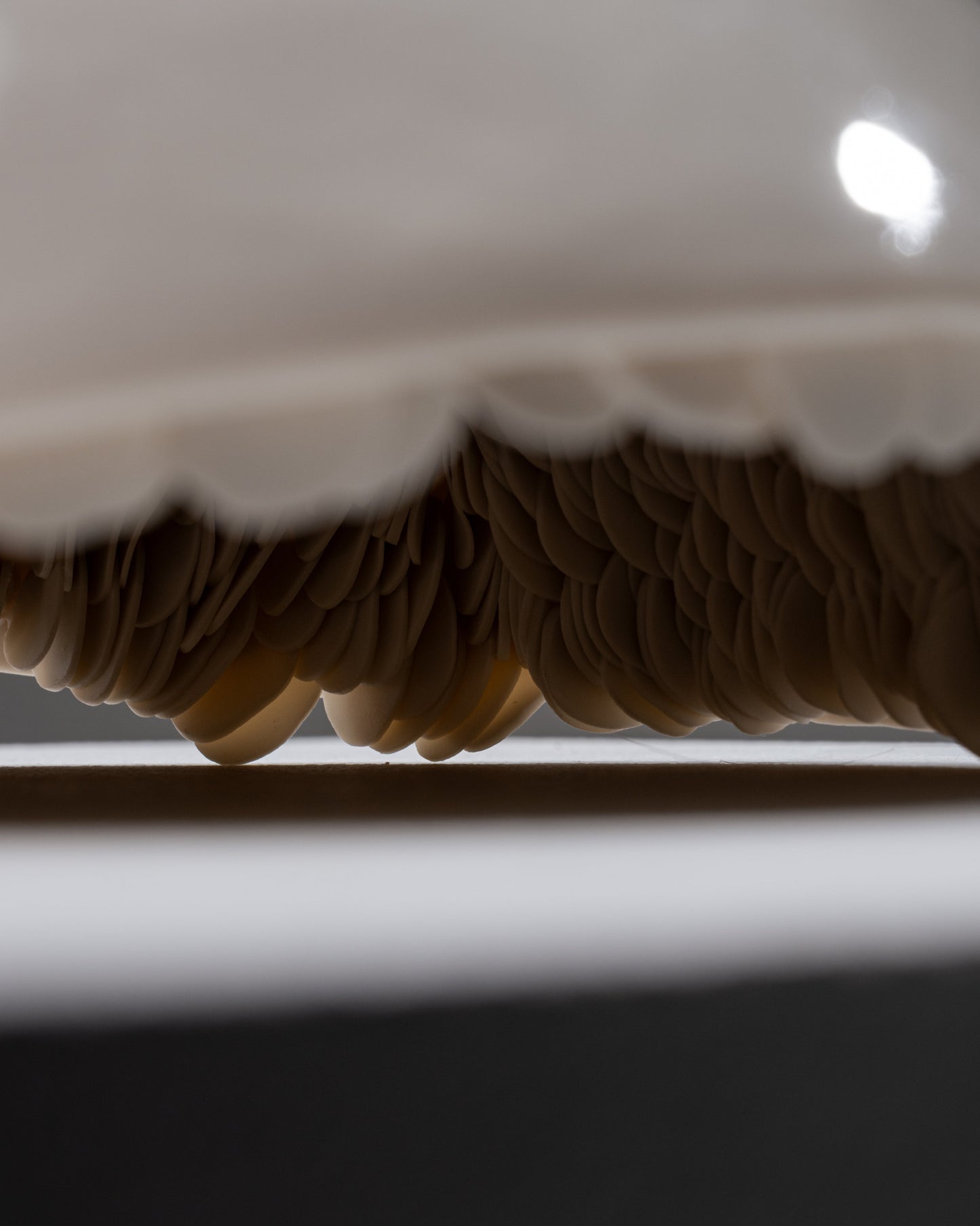 Italian porcelain dish, Sylvia Granata, 2019