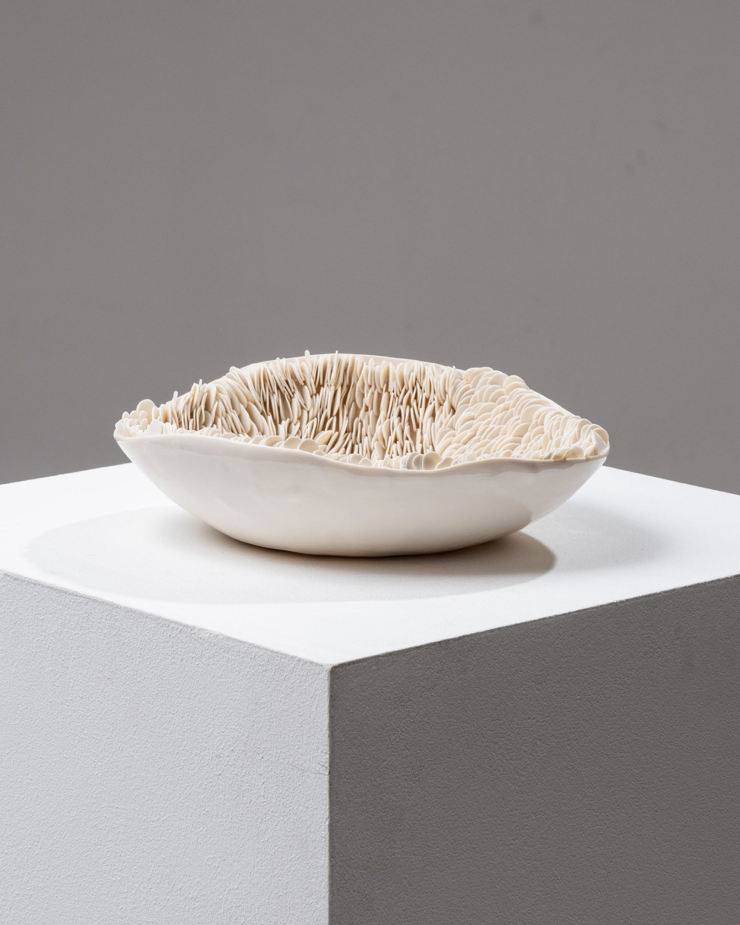 Italian porcelain dish, Sylvia Granata, 2019