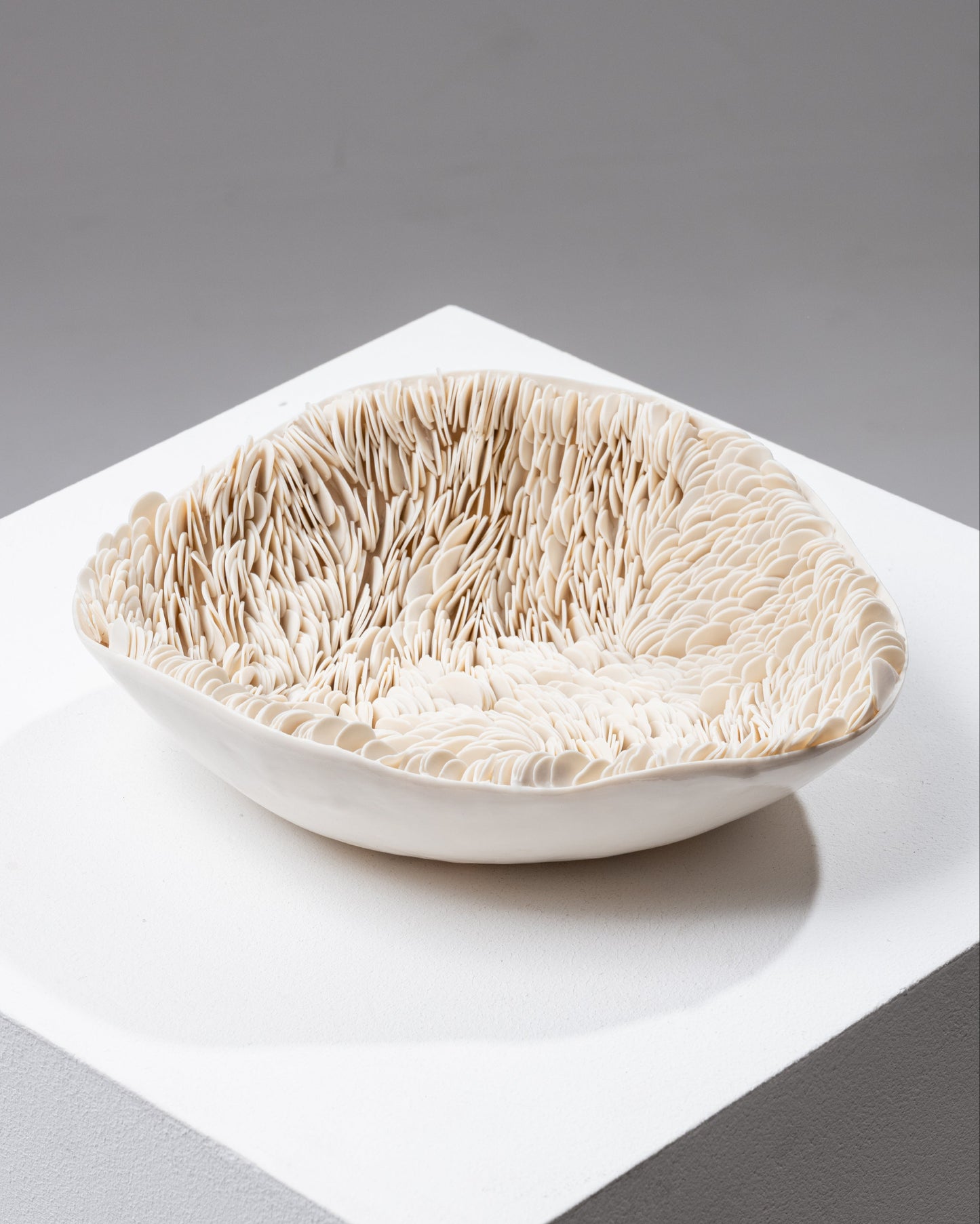Italian porcelain dish, Sylvia Granata, 2019