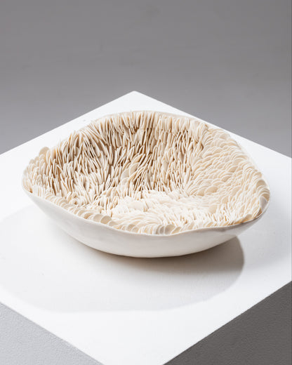 Italian porcelain dish, Sylvia Granata, 2019