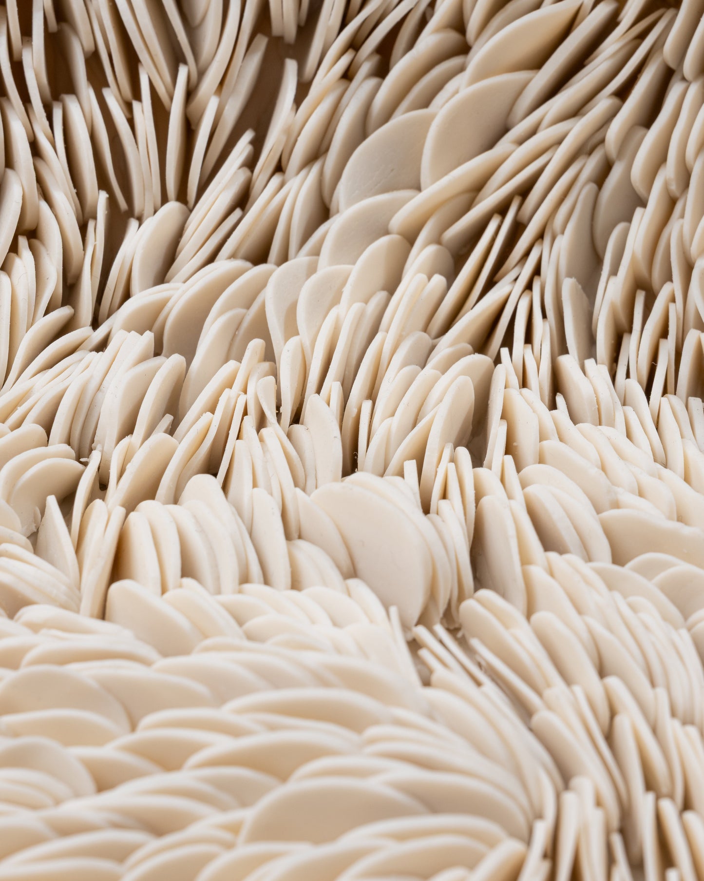 Italian porcelain dish, Sylvia Granata, 2019