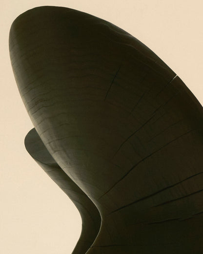 Black wooden Anetos armchair