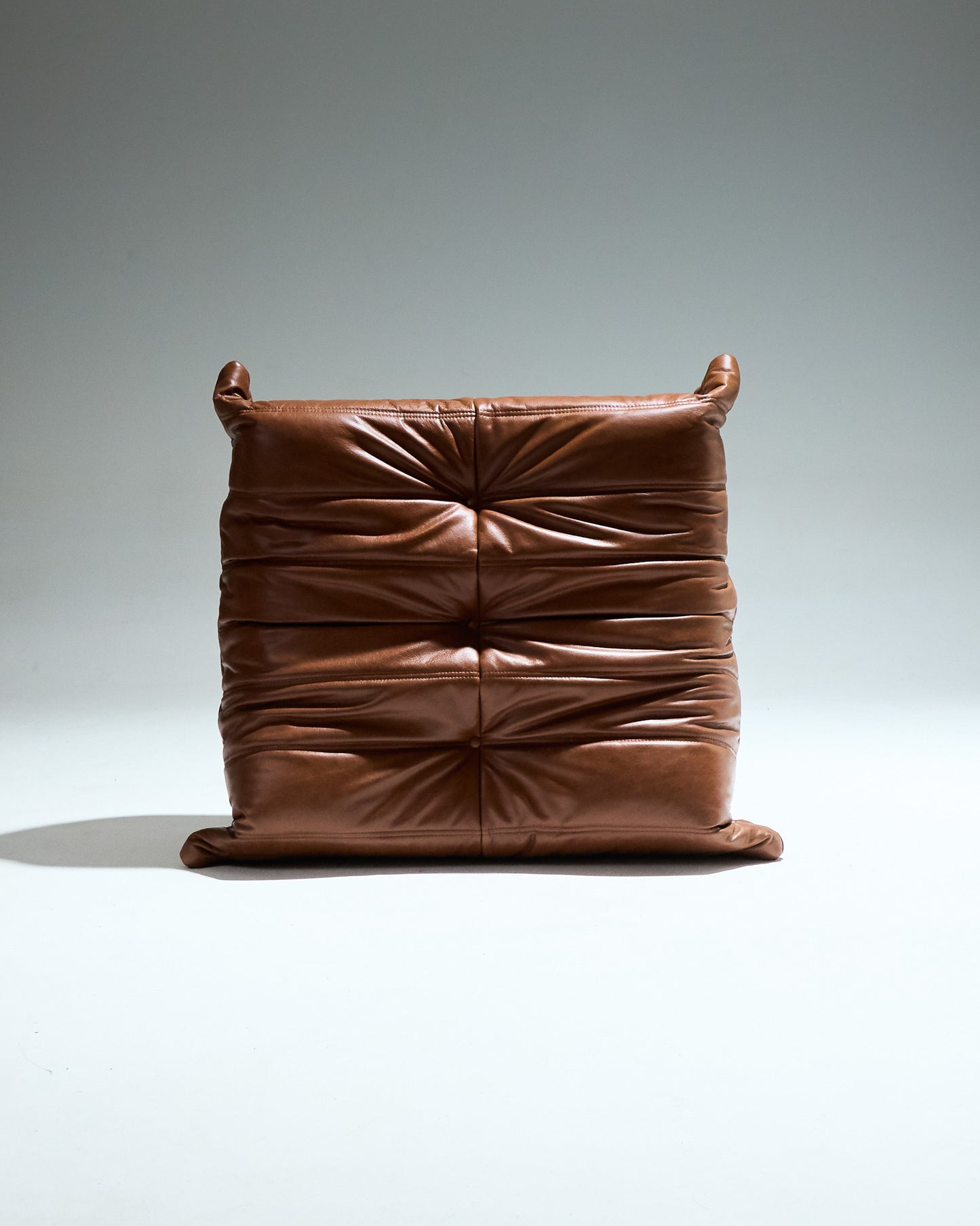  TOGO OTTOMAN, MICHEL DUCAROY, LIGNE ROSET