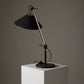 ENZO MARI AND GIANCARLO FASSINA LAMP, 1970s