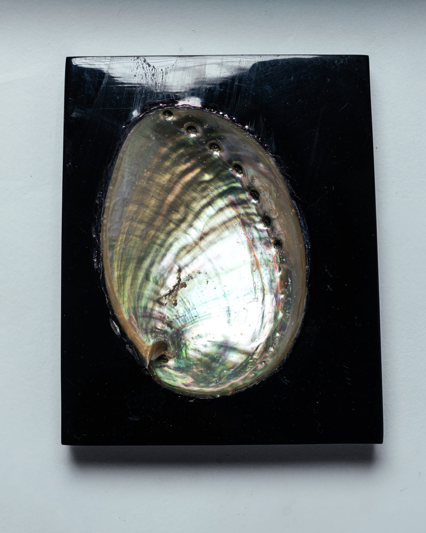 VIDE-POCHE COQUILLAGE, 1970s