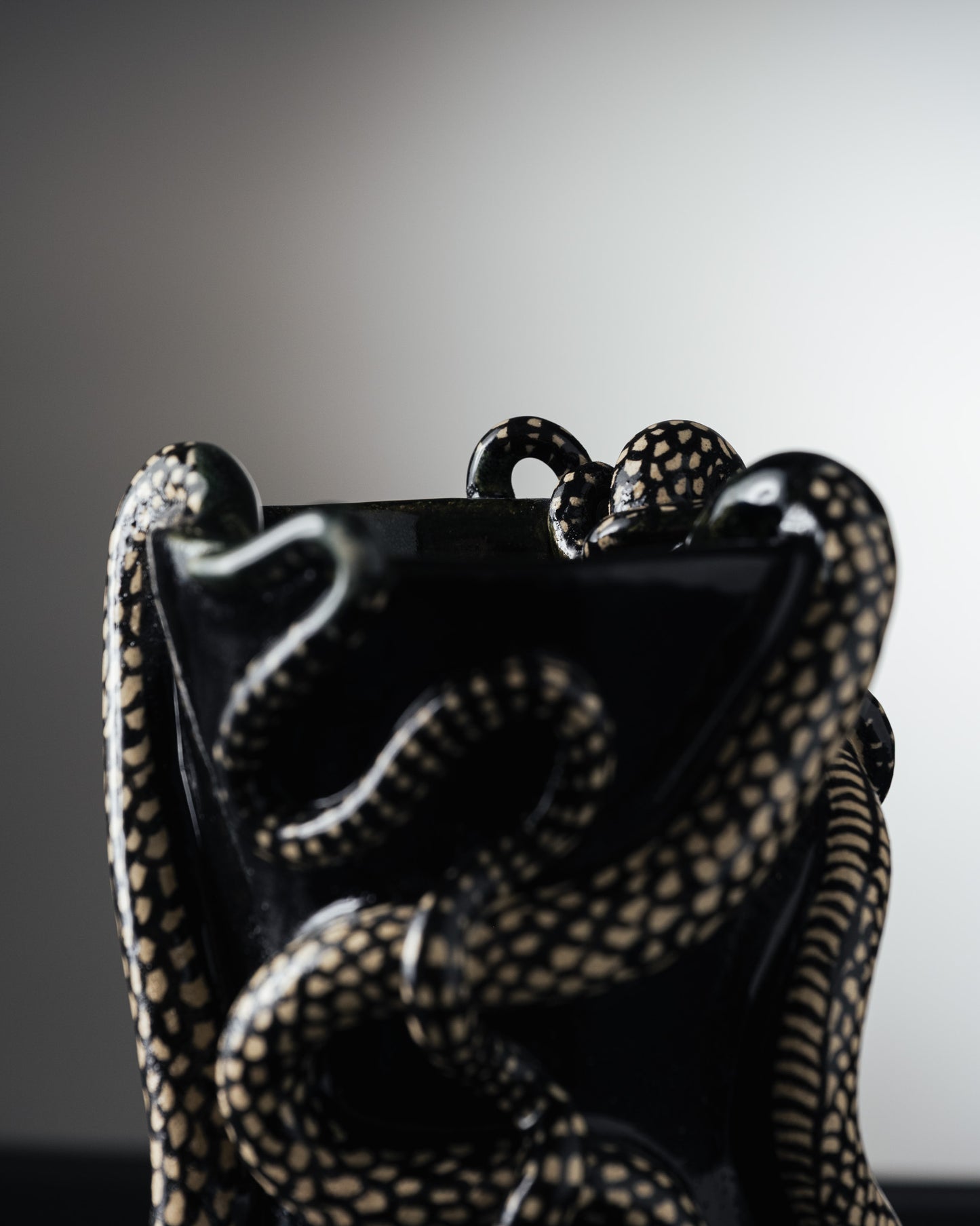 VASE NOIR 'THRIVING IN DARKNESS'
