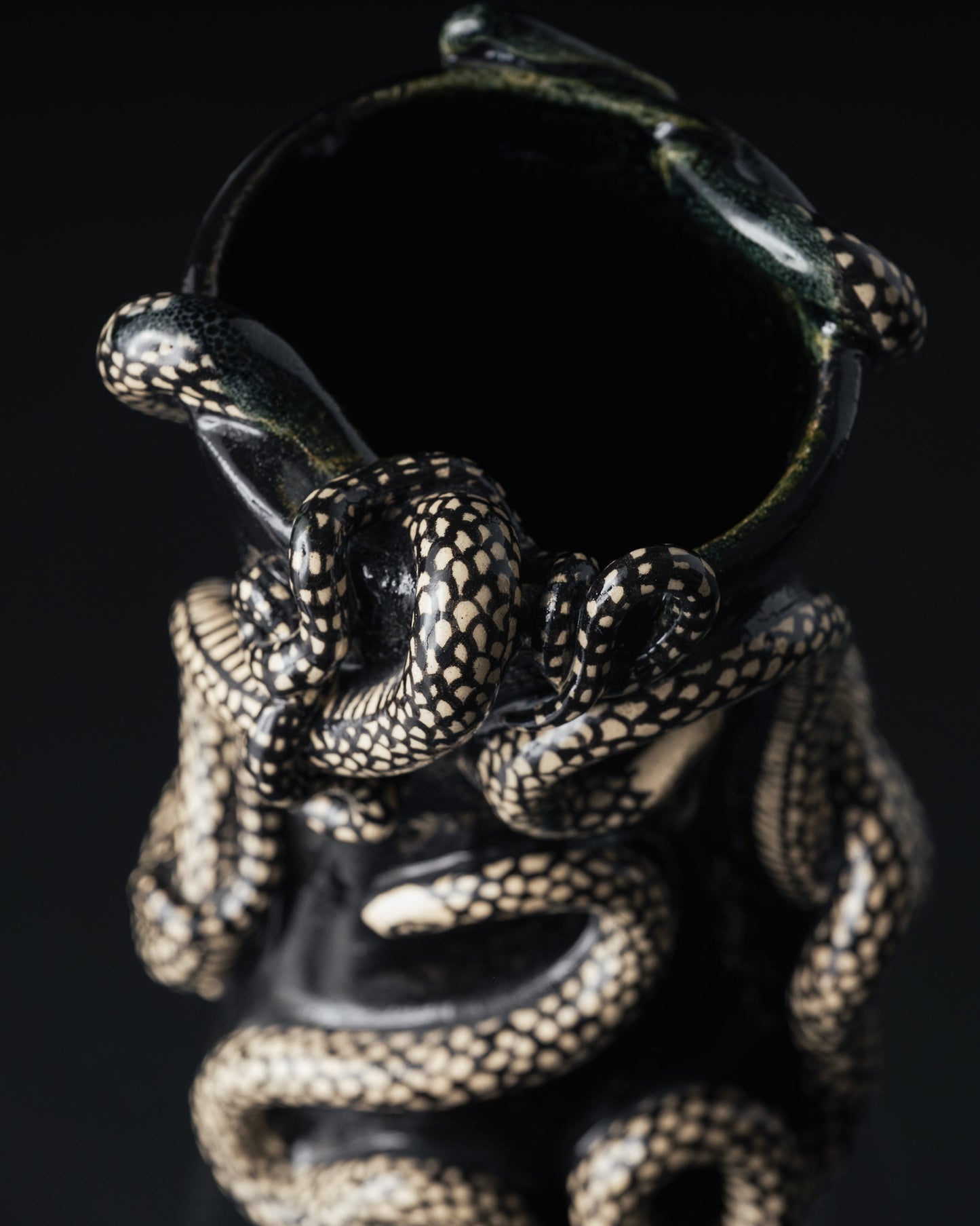 VASE NOIR 'THRIVING IN DARKNESS'