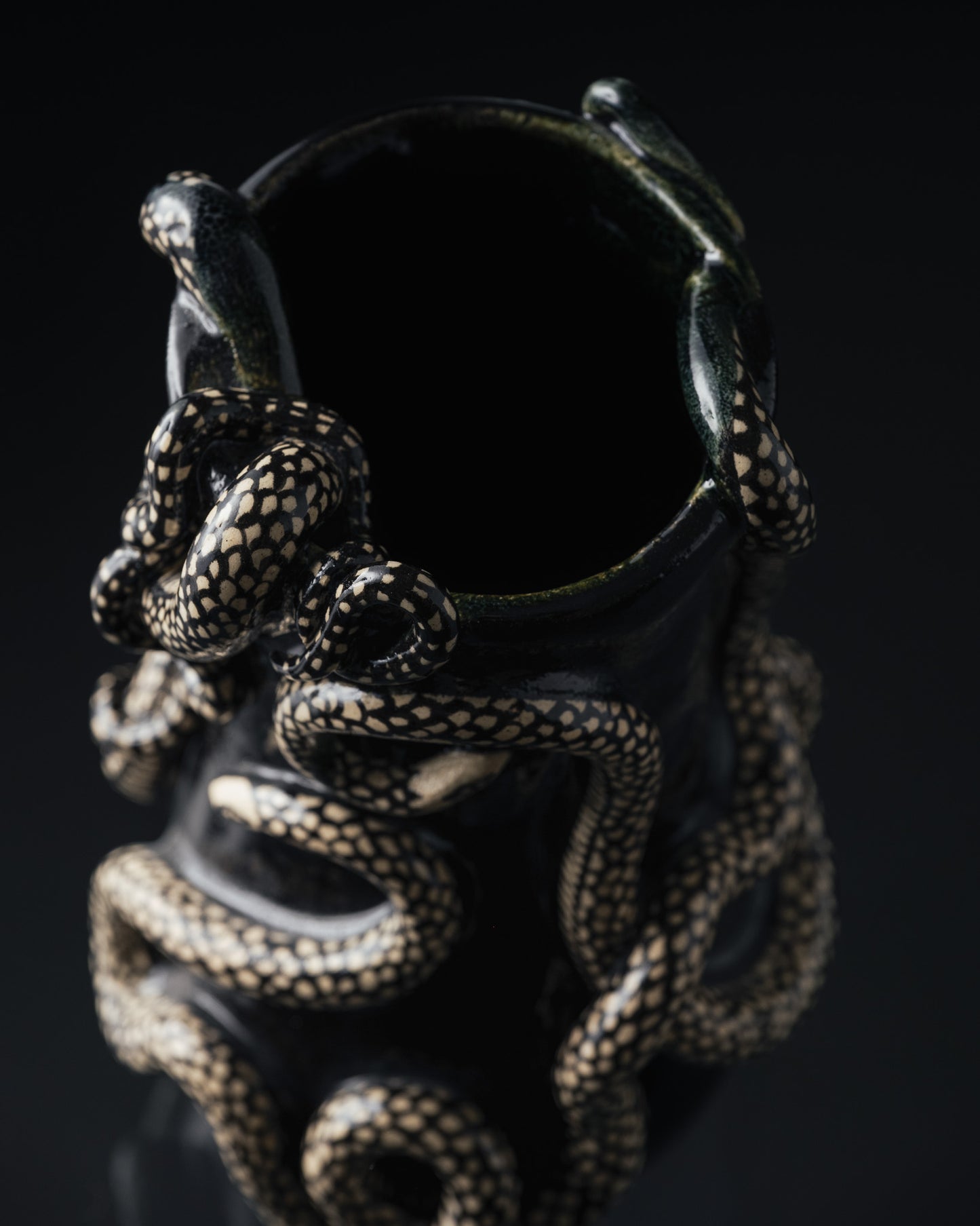 VASE NOIR 'THRIVING IN DARKNESS'