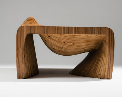 'DUNA' ARMCHAIR, ANDRE GURGEL & FELIPE BEZERRA, RUA MADEIRA
