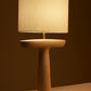 OVAL CUT LAMP