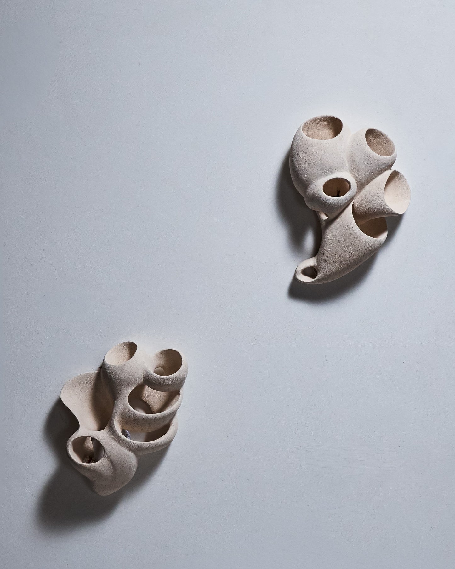 APPLIQUE CORAIL BLOOM