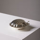 SHELL BUTTER DISH