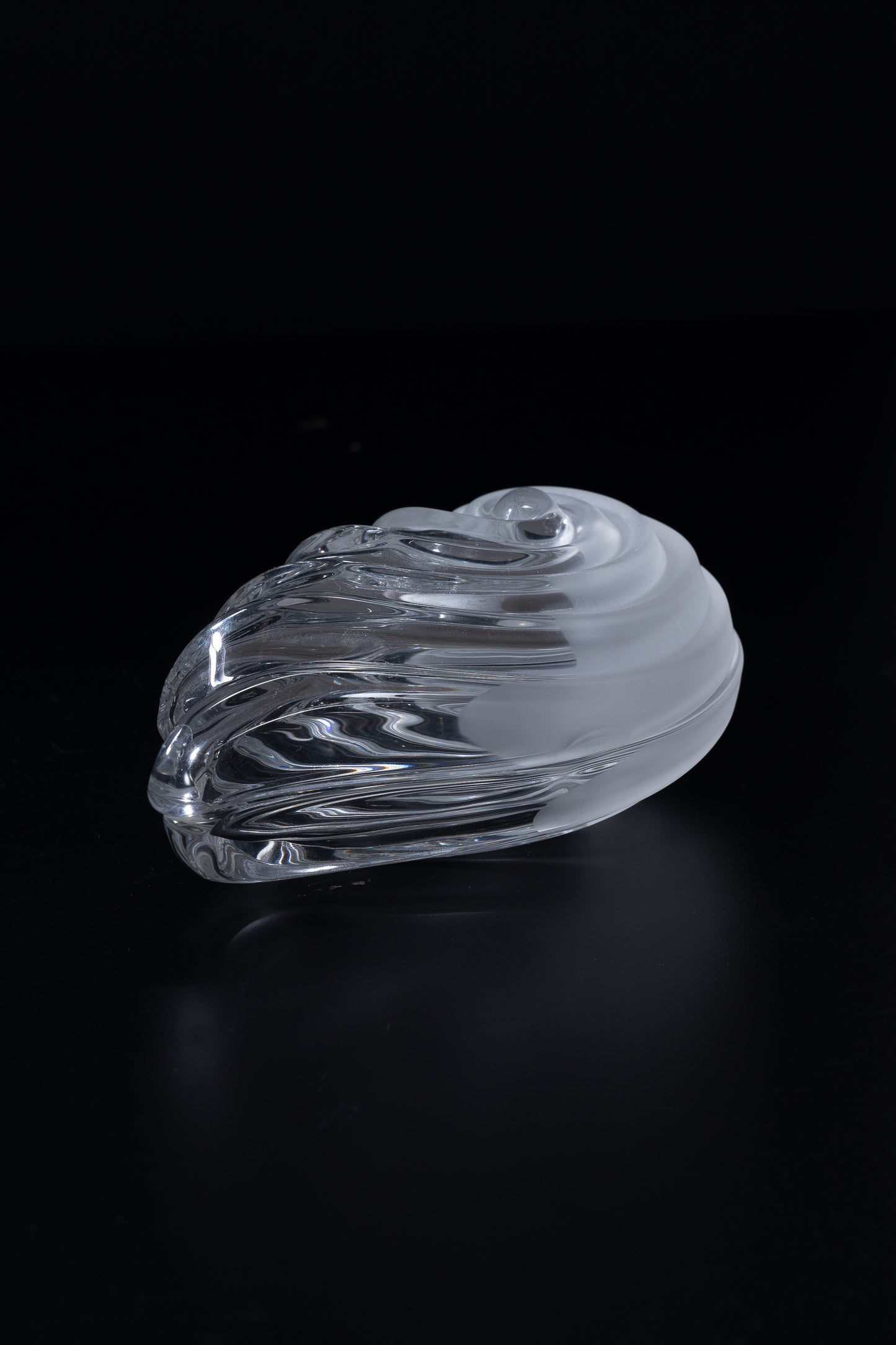 SHELL CRYSTAL BOX