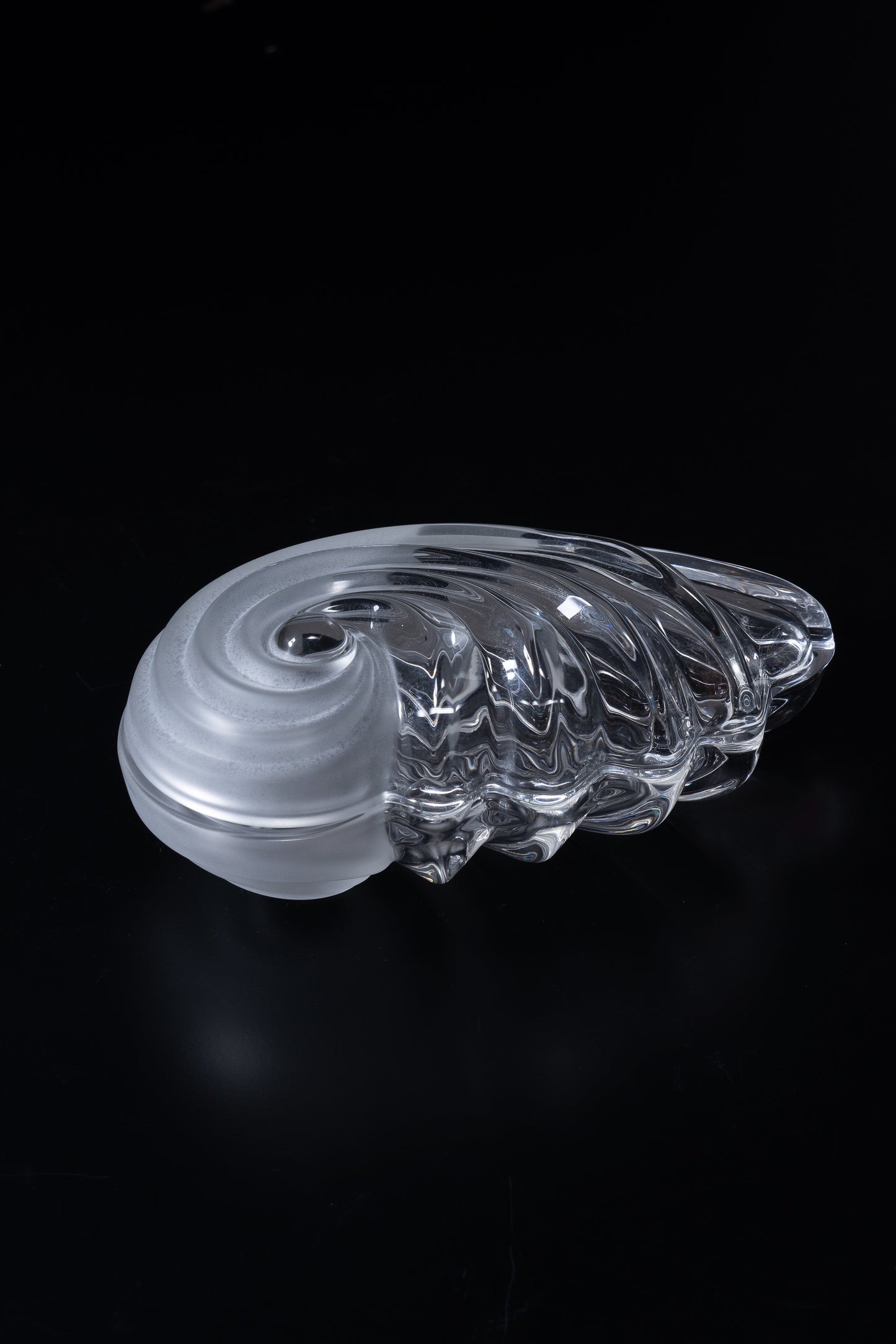 SHELL CRYSTAL BOX