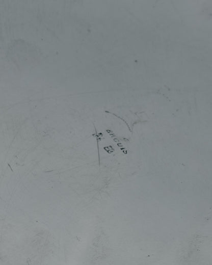 GAMELLE EN MÉTAL ARGENTÉ POUR GRAND CHIEN, 1960s