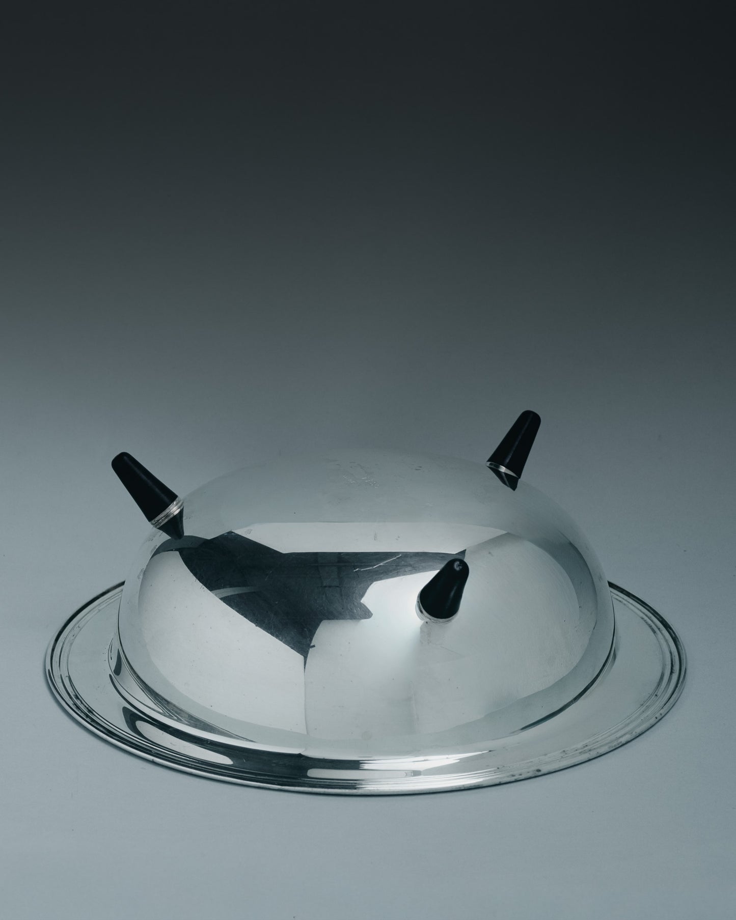 GAMELLE EN MÉTAL ARGENTÉ POUR GRAND CHIEN, 1960s