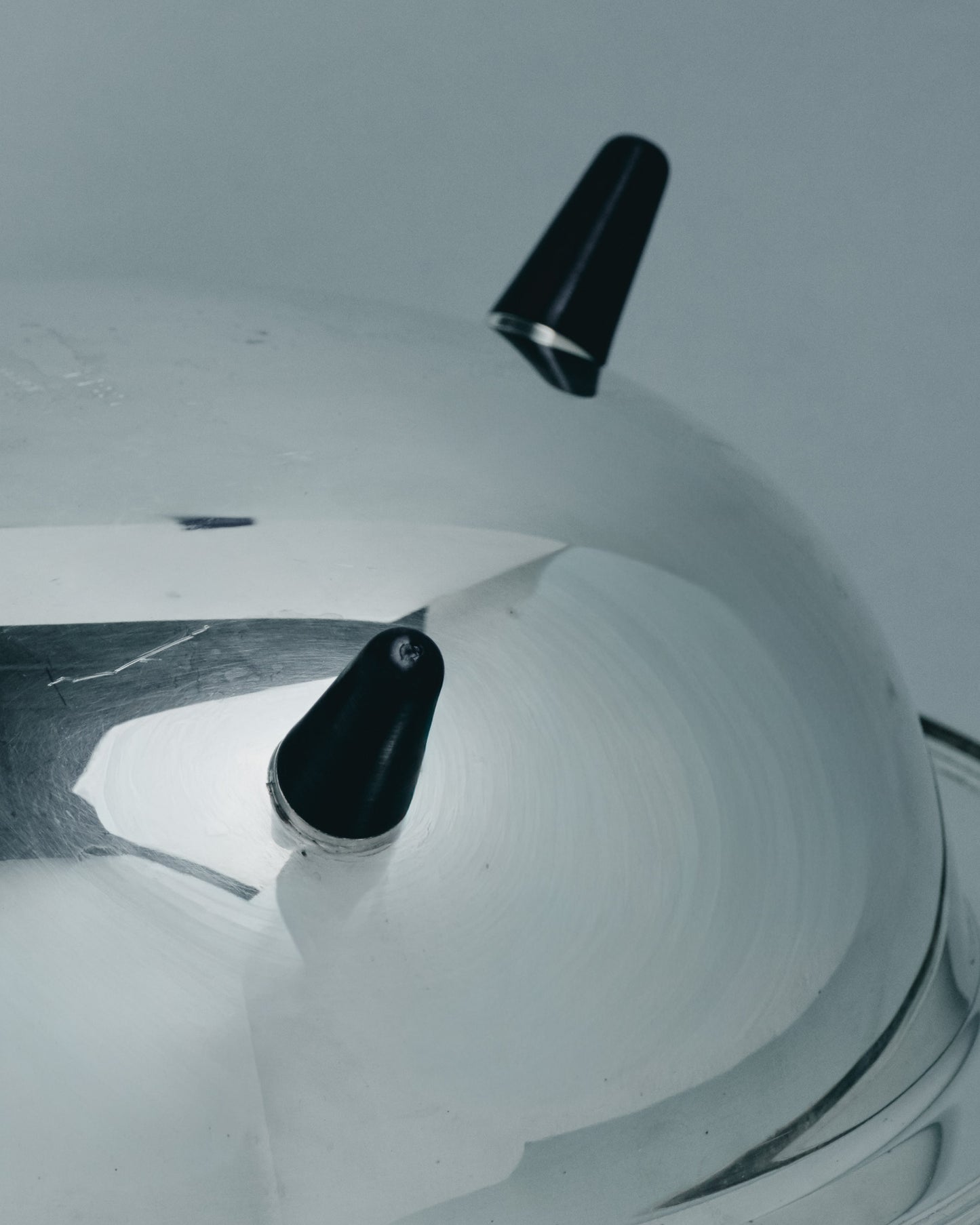 GAMELLE EN MÉTAL ARGENTÉ POUR GRAND CHIEN, 1960s