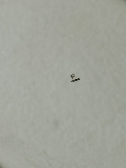 ASSIETTE A PATÉE POUR MOYEN CHIEN EN MÉTAL ARGENTÉ, 1960s