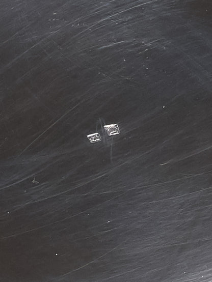 GAMELLE EN MÉTAL ARGENTÉ POUR GRAND CHIEN, 1950s