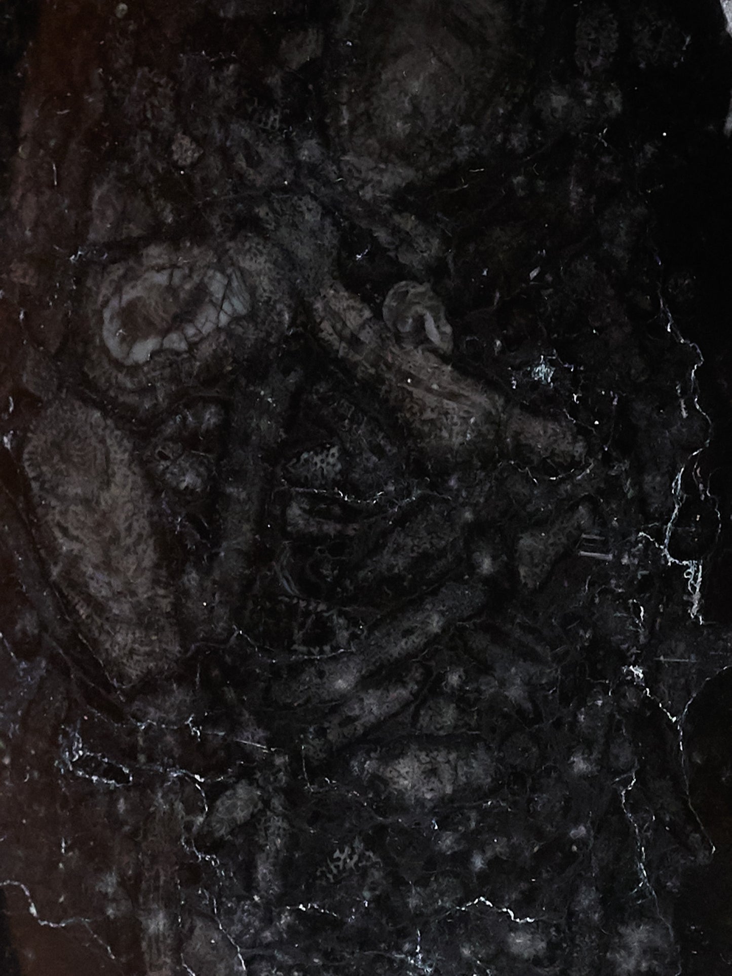 FOSSILIZED MARBLE TRINKET TRAY