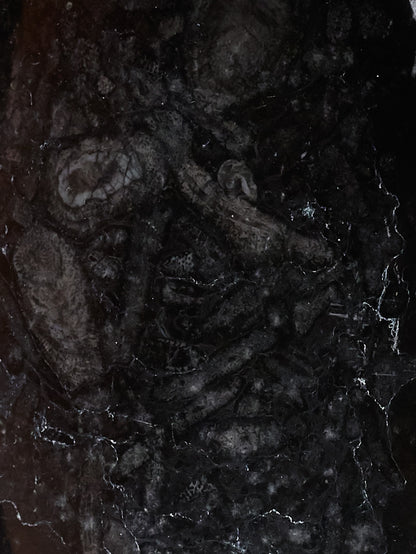 FOSSILIZED MARBLE TRINKET TRAY