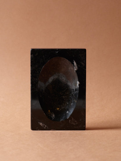 FOSSILIZED MARBLE TRINKET TRAY