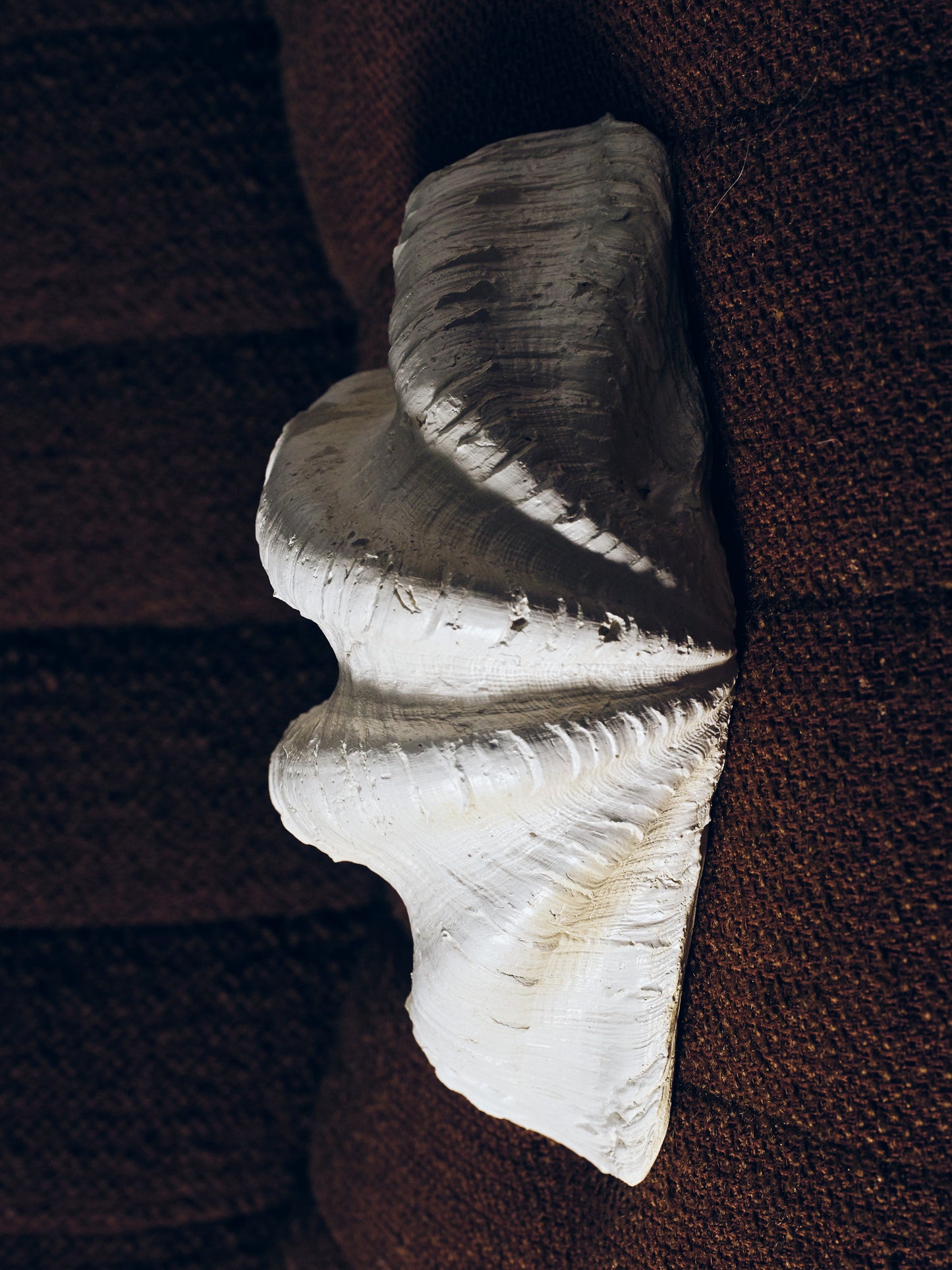 COUPE COQUILLAGE 'CLAM SHELL'