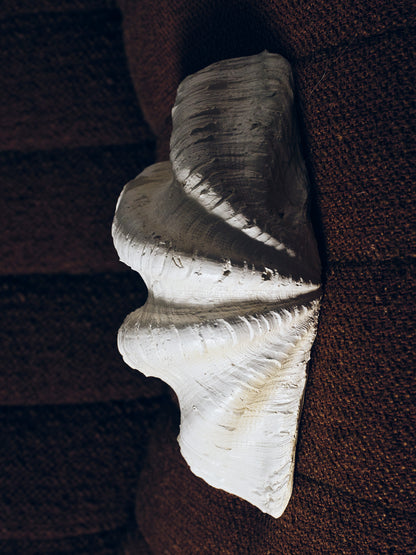 COUPE COQUILLAGE 'CLAM SHELL'