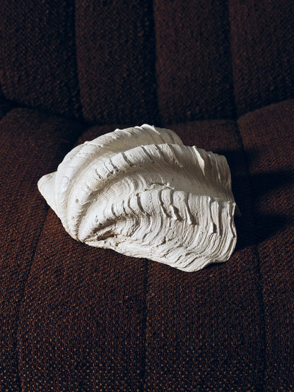 COUPE COQUILLAGE 'CLAM SHELL'