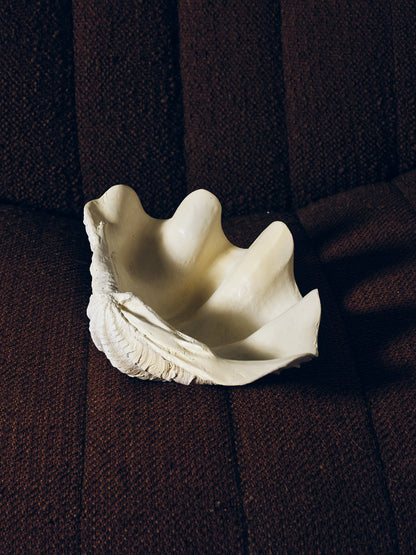 COUPE COQUILLAGE 'CLAM SHELL'