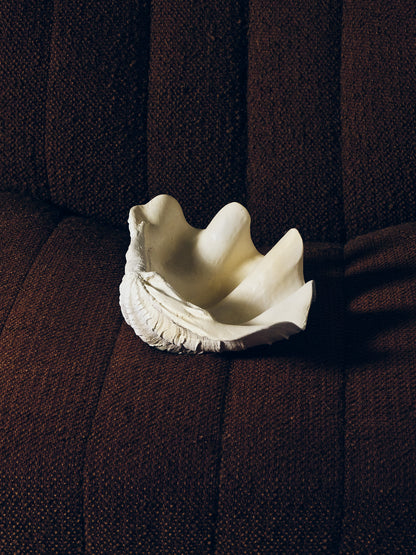 COUPE COQUILLAGE 'CLAM SHELL'