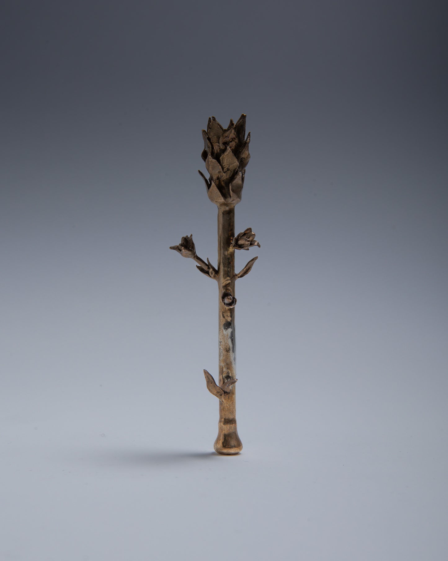 BRASS CIGARETTE DOOR