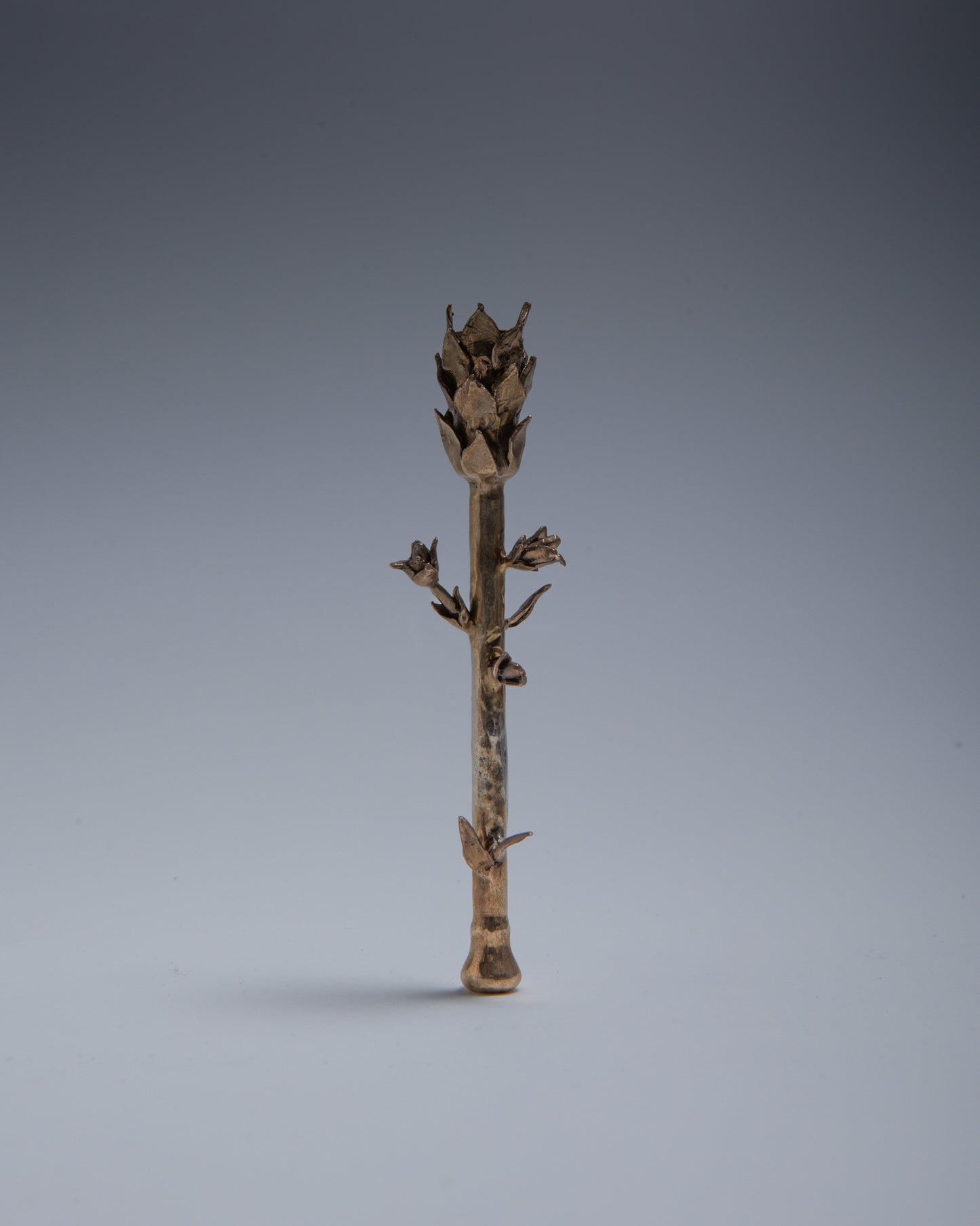 BRASS CIGARETTE DOOR