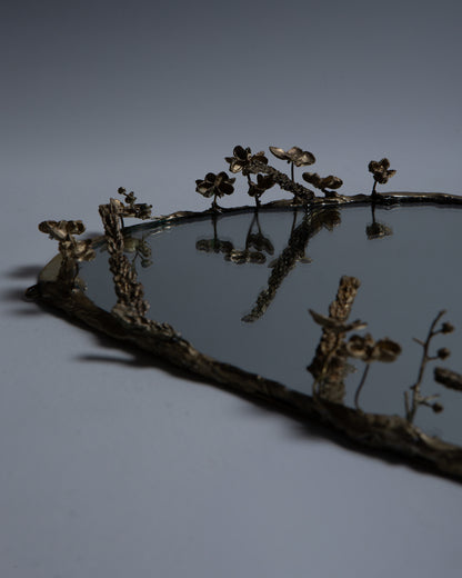 MIROIR LAC VÉGÉTAUX