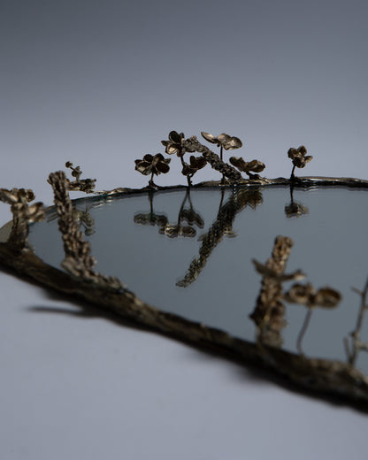 MIROIR LAC VÉGÉTAUX