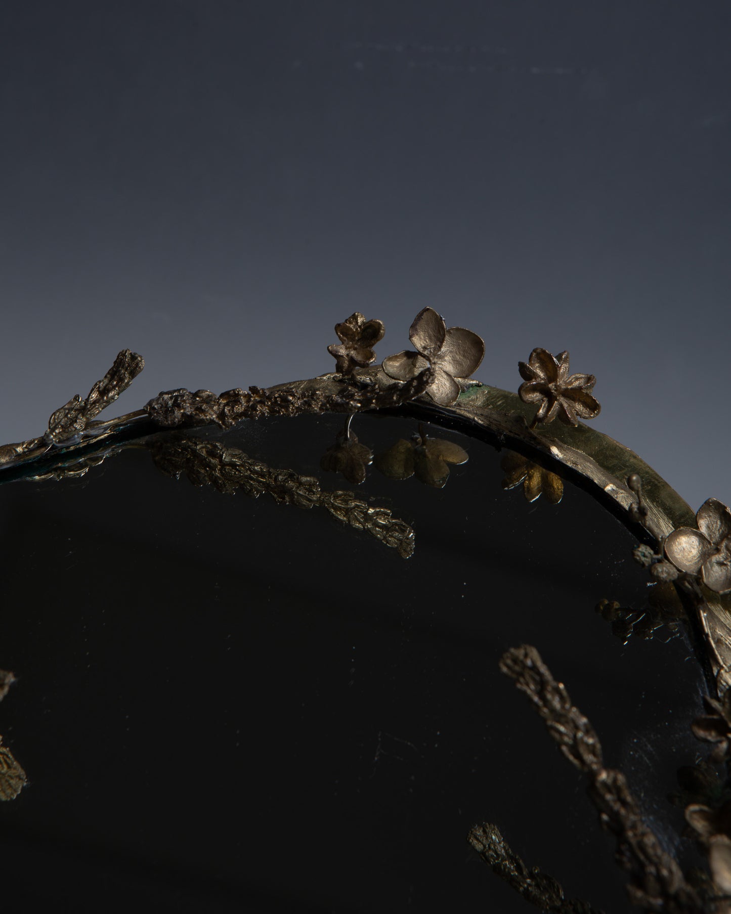 MIROIR LAC VÉGÉTAUX