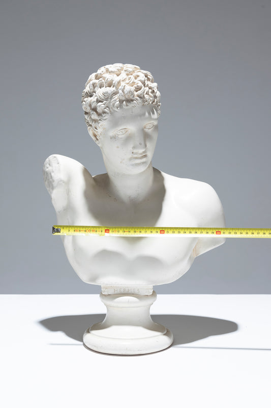 LARGE MALE BUST IN PLASTER