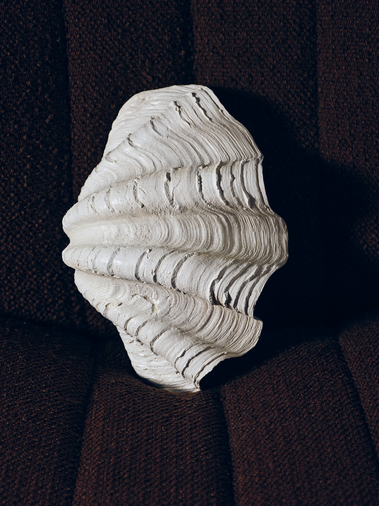 COUPE COQUILLAGE 'CLAM SHELL'