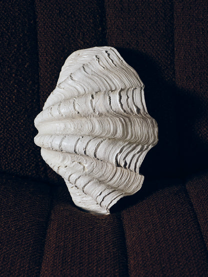 COUPE COQUILLAGE 'CLAM SHELL'