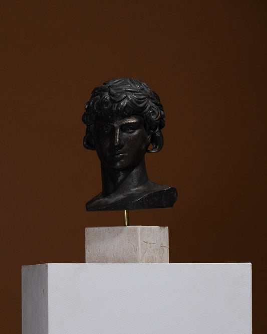 Busto di antinoüs