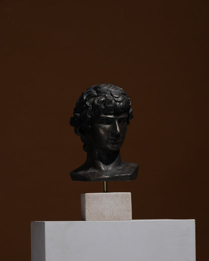 Busto di antinoüs