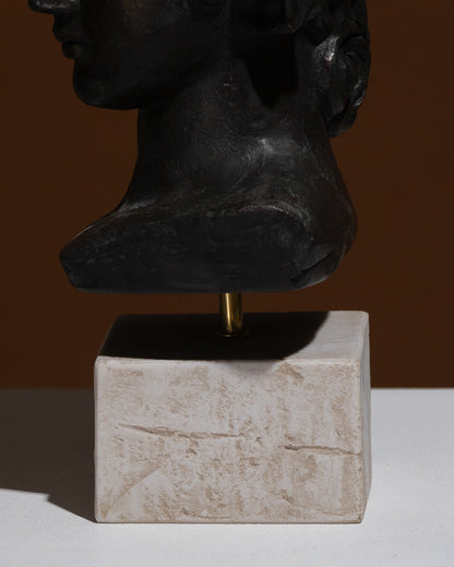 Busto di antinoüs